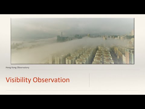 Visibility Observation