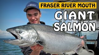 Download lagu GIANT CHINOOK SALMON at Fraser River Mouth with @fishwithcarl | Fishing with Rod mp3