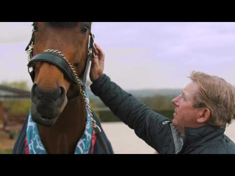 Nick Skelton's tribute to Big Star