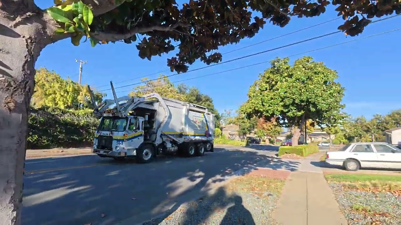 Сегодня выборы - а что? Есть что выбирать?