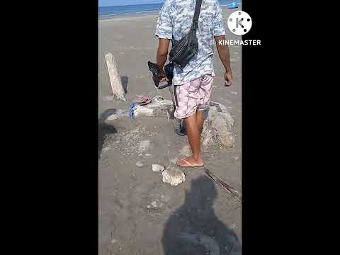 Metal detecting in the long big beach in Philippines 😱😍 #metaldetecting #goldhunting #gold