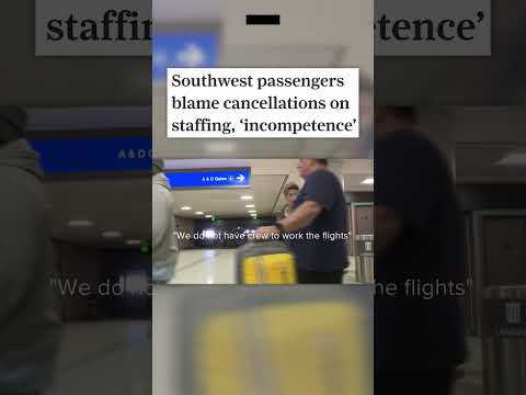 Os aeroportos estão passando por um “colapso total” #Shorts