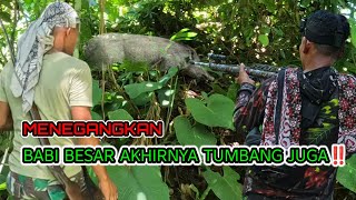 Download lagu SERU‼️ BABI HUTAN YANG DI CARI AKHIRNYA BERHASIL DIAMANKAN.  mp3