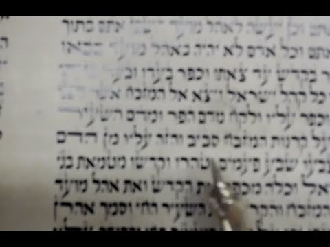 The Lodzer Service - Shabbat Achrei Mot-Kedoshim 5780