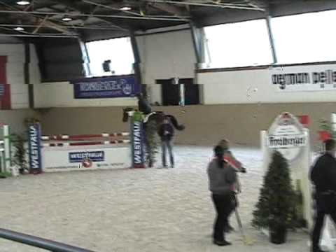 Casdorff by Casall la Silla - Contender - Latino