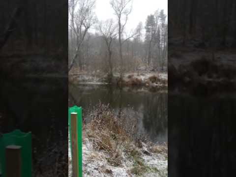 Vanocni dravci a Jakub Smid 5let