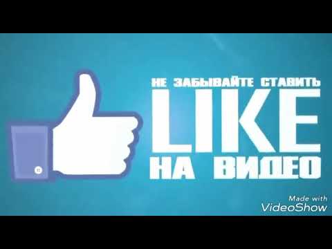 Patriot Mamed action 2000-ci il