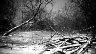 Forgotten Tomb - Disheartenment