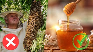 How To Stop Bees Swarming AND Make HONEY