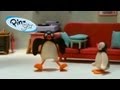 Pingu Pingu Boogaloo