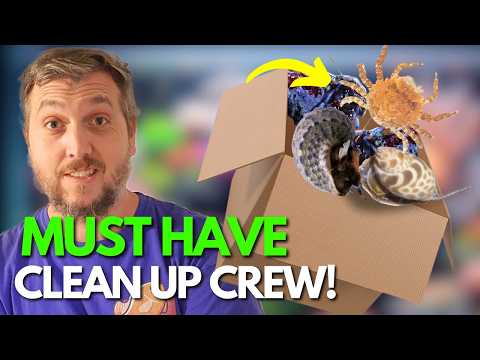 Unboxing My Awesome Unique Reef Tank Clean Up Crew!
