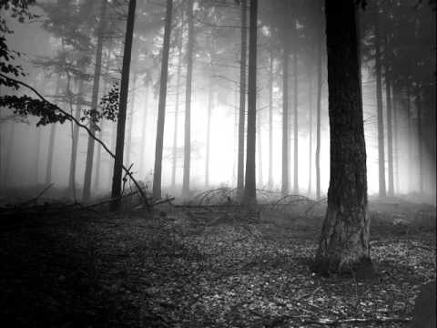 Concord Dawn - River Feat Nina McSweeney