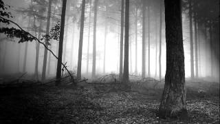 Concord Dawn - River Feat Nina McSweeney