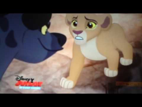 Shanti in wonderland part 3 - the run of the white dog/"I'm late"