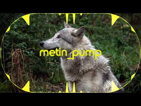 NAVY WESTGHOST  x YOUNG KIRA - GENKiDAMA[Bass Boosted]