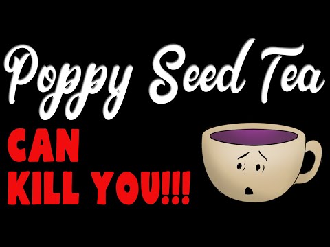 YouTube video about: Are poppy seeds bad for cats?
