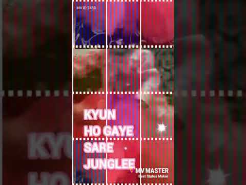 Happy birthday aaniya sultana