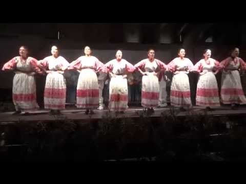 KUDŽ Filip Dević - Plesovi Posavine (Sudamja, 06.05.2014.)