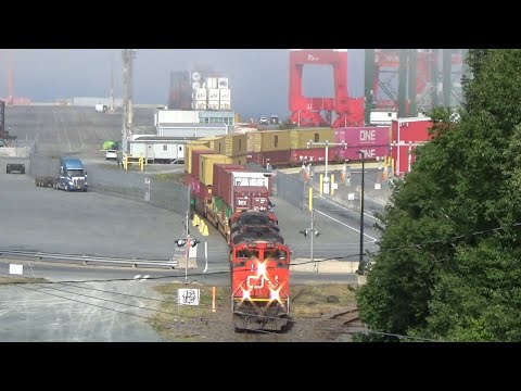Local Train CN 519 Shoves Lots of Intermodal Containers into PSA Atlantic Hub Terminal - Halifax, NS