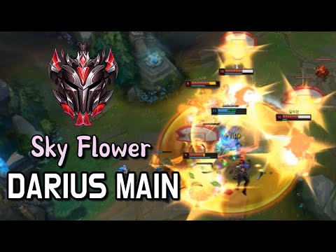 그랜드마스터 다리우스 장인 천꽃 매드무비 7 - Korea GrandMaster Darius Montage 7