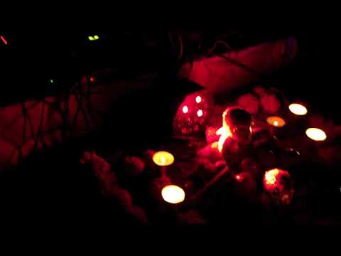 1/2 Ex-Gen Live @ Halloweed (Mexico)