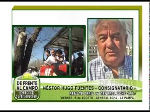 DE FRENTE AL CAMPO junto a NÉSTOR HUGO FUENTES S.A.
