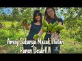 Amoy Kalimantan Kebanyakan Tahan Panas Panen Buah Alpokat Di Gunung Pasi Singkawang