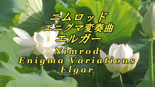 Download lagu （解説入り）ニムロッド エニグマ変奏曲 エルガー Nimrod Enigma Variations Elgar mp3