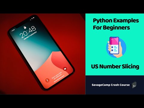 Python Example Code Format Phone Number Savagecamp