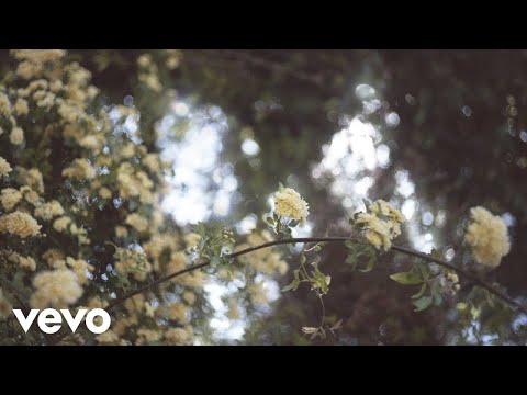 Akira Kosemura - Fallen Flowers (Visualizer)