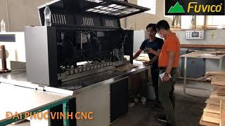 DÂY CHUYỀN MÁY LÀM VENEER FUVICO/ CẮT XÉN VENEER/ MAY GHÉP MÍ LĂN KEO ÉP NÓNG CHUYÊN NGHIỆP
