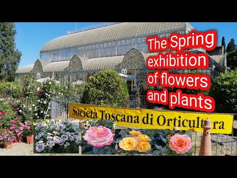SPRING PLANT AND FLOWER SHOW / GIARDINO DELL'ORTICOLTURA, FIRENZE, ITALIA