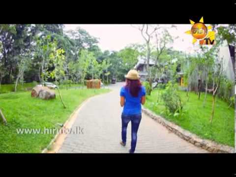 Hiru TV