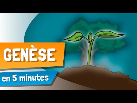 La Genèse en 5 Minutes