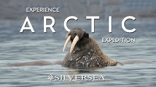 ARCTIC Expedition! Silversea Cruises to the End of the Earth