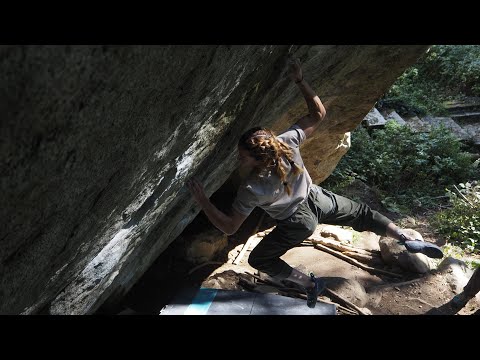 Tarta salsara (7C) - Val Daone