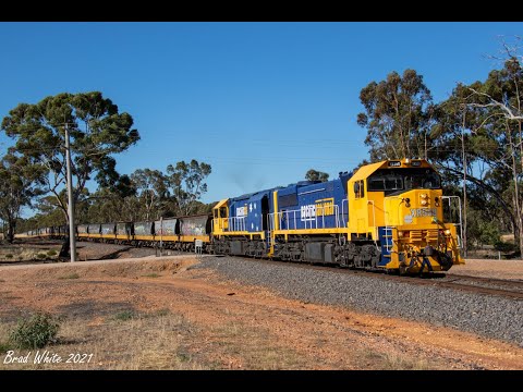 XR550 and XR555 power through Llanelly with PN's 9160 loaded Boort grain- 18/1/21
