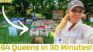 My FAVORITE Way To Raise YOUR OWN Queen Bees / Beekeeping 101 #beekeeping