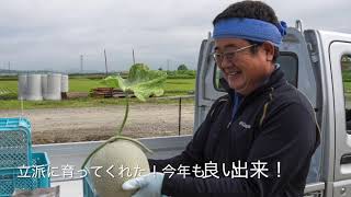 Asosiasi Produsen Melon Hokuryu - Portal Kota Hokuryu (Hokkaido) - desa bunga matahari nomor satu di Jepang.