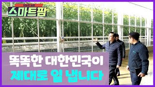 똑똑한 대한민국이 제대로 일 냅니다. | 스마트팜 현장방문 | 우듬지팜