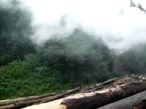 Pensiunea 3 Fantani - Cazare Runcu | Aventura Video 3