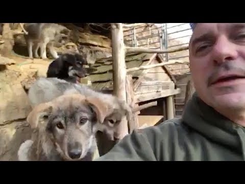 Guy Is Real Life Doctor Doolittle