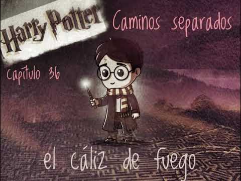 36 Caminos Separados - Harry Potter El Caliz De Fuego
