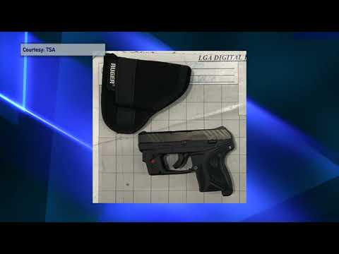 TSA Gun Arrest