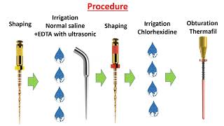 Healing of two separate lesions associated with a lateral canal by routine endodontic treatment.