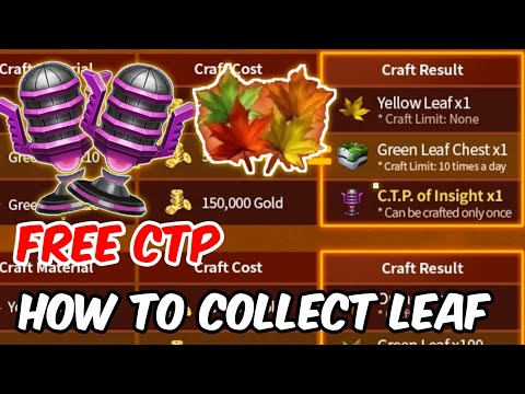 FREE CTP Insight Craft Event September Update MFF