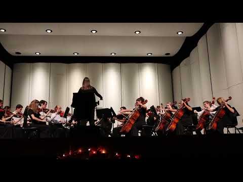 Campo Verde High Chamber Orchestra - Colors of Home - Alan Lee Silva