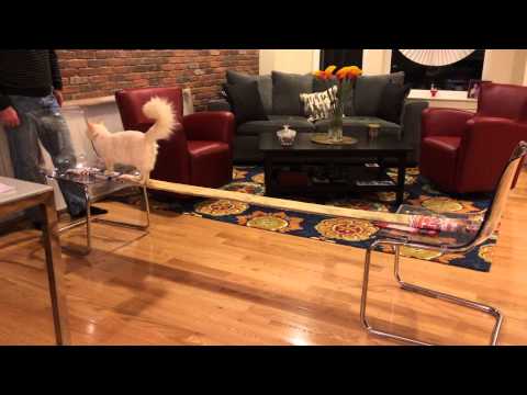 Our Siberian cat, Sun Tzu, walks the plank!