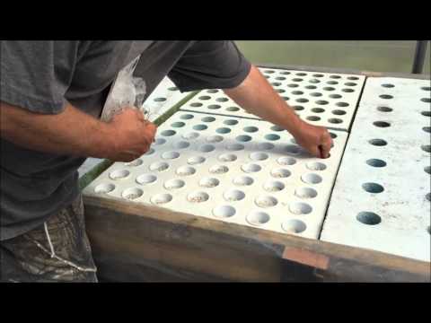 download lagu mp3 mp4 Hydroponic Onion Production, download lagu Hydroponic Onion Production gratis, unduh video klip Hydroponic Onion Production