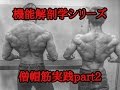僧帽筋part2